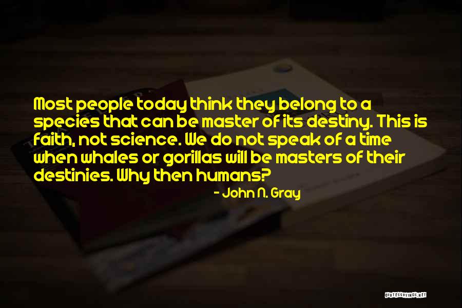 Whales Quotes By John N. Gray