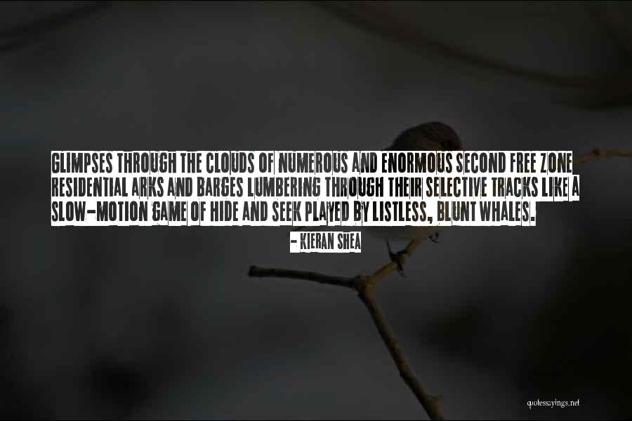 Whales Quotes By Kieran Shea