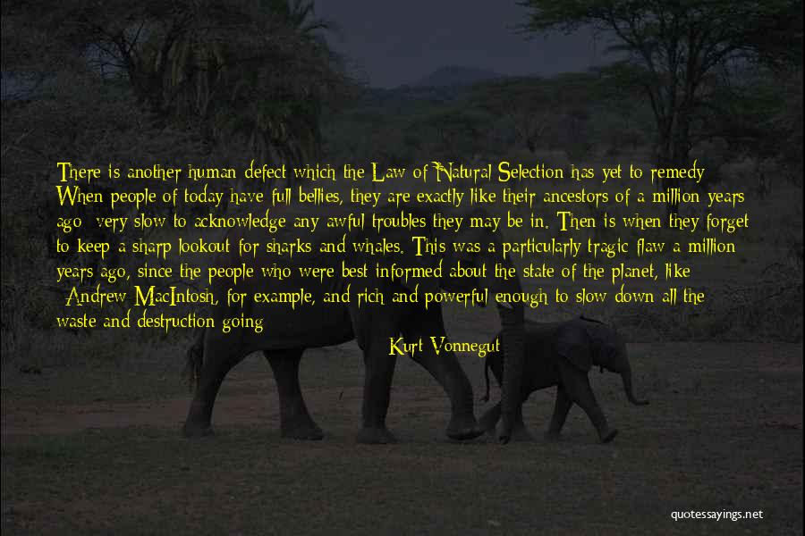 Whales Quotes By Kurt Vonnegut Whales Quotes By Kurt Vonnegut