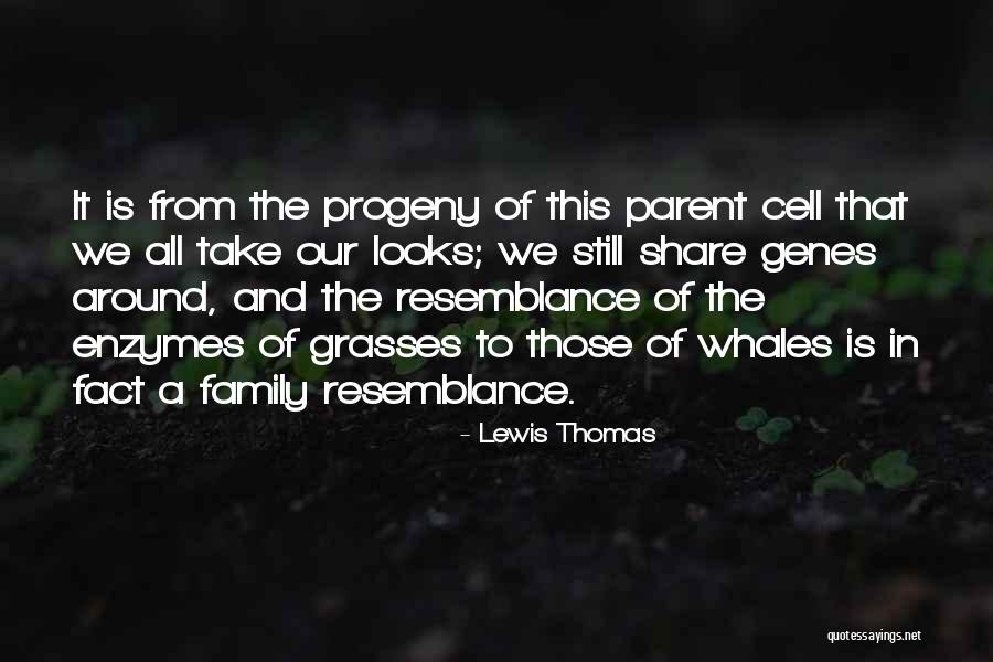 Whales Quotes By Lewis Thomas Whales Quotes By Lewis Thomas
