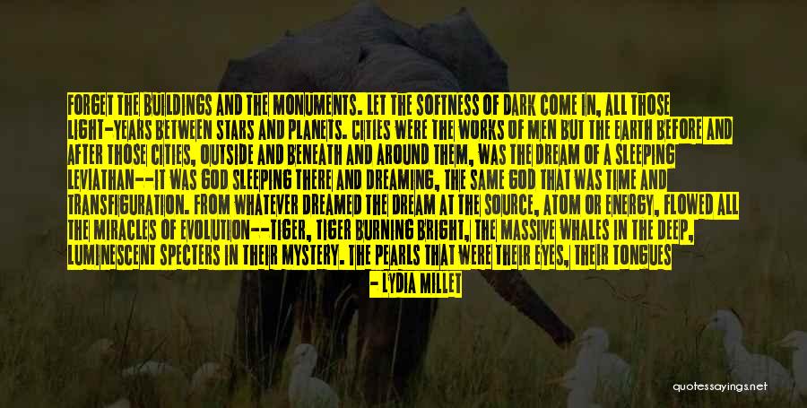 Whales Quotes By Lydia Millet Whales Quotes By Lydia Millet