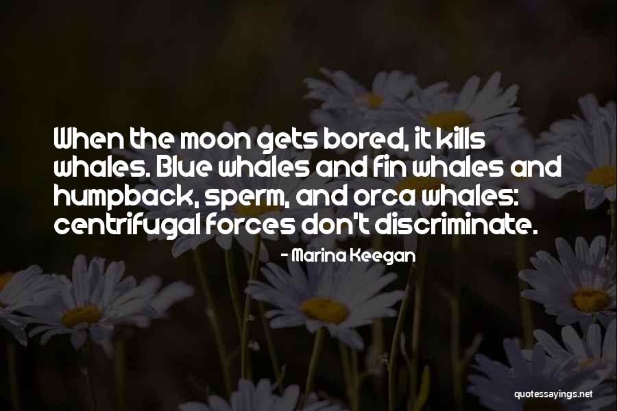 Whales Quotes By Marina Keegan