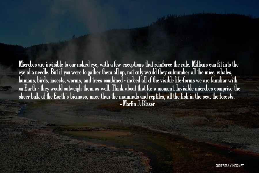 Whales Quotes By Martin J. Blaser