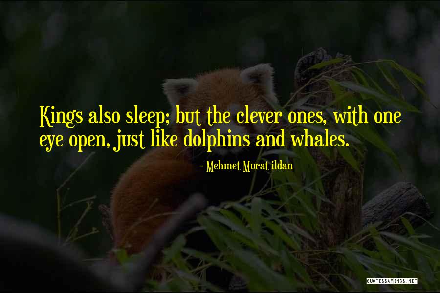 Whales Quotes By Mehmet Murat Ildan Whales Quotes By Mehmet Murat Ildan