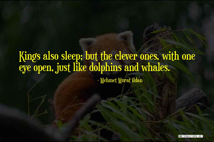 Whales Quotes By Mehmet Murat Ildan