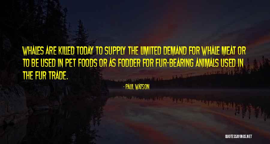 Whales Quotes By Paul Watson Whales Quotes By Paul Watson