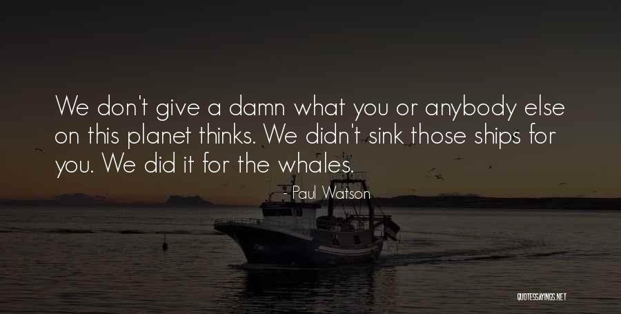 Whales Quotes By Paul Watson Whales Quotes By Paul Watson