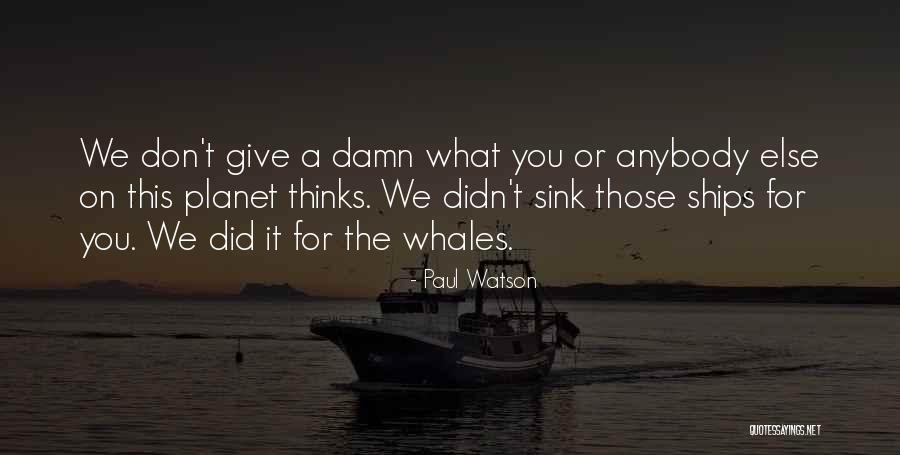 Whales Quotes By Paul Watson