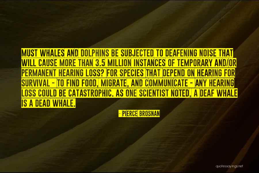 Whales Quotes By Pierce Brosnan