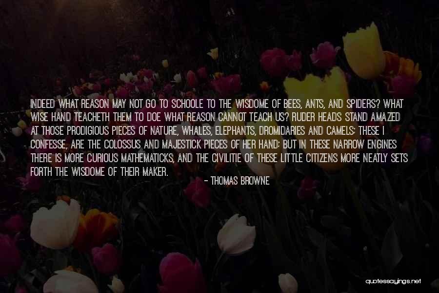 Whales Quotes By Thomas Browne Whales Quotes By Thomas Browne