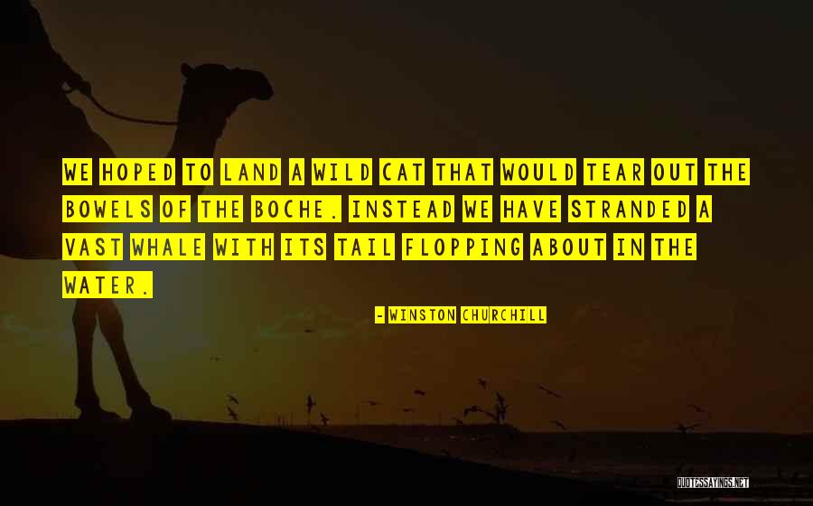 Whales Quotes By Winston Churchill Whales Quotes By Winston Churchill