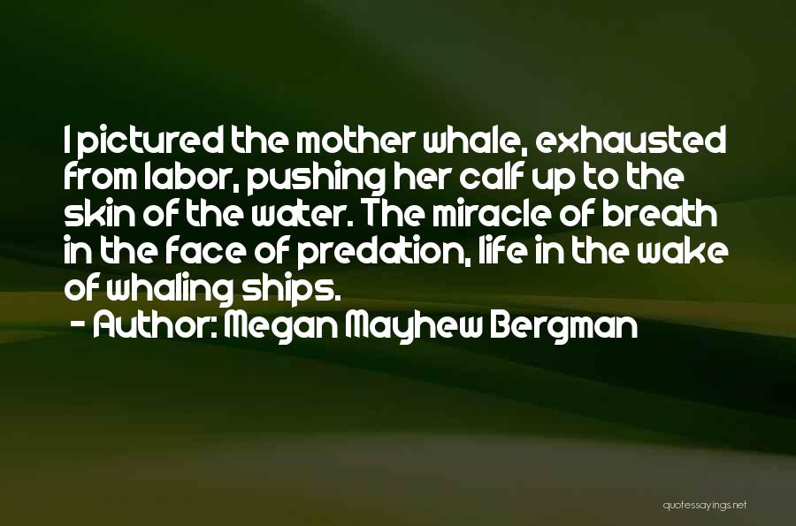 Whaling Quotes By Megan Mayhew Bergman