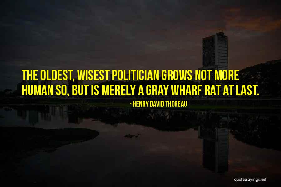 Wharf Rat Quotes By Henry David Thoreau Wharf Rat Quotes By Henry David Thoreau