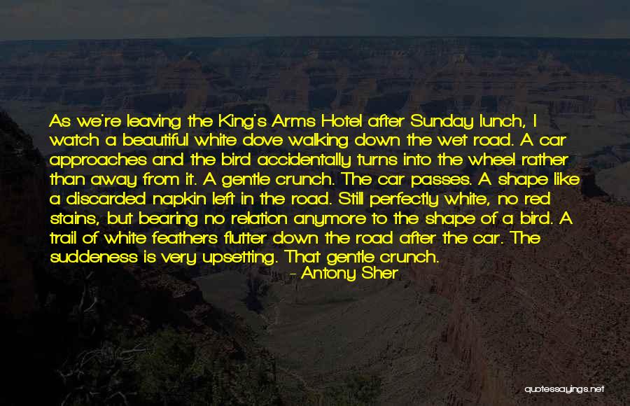 What A Beautiful Sunday Quotes By Antony Sher