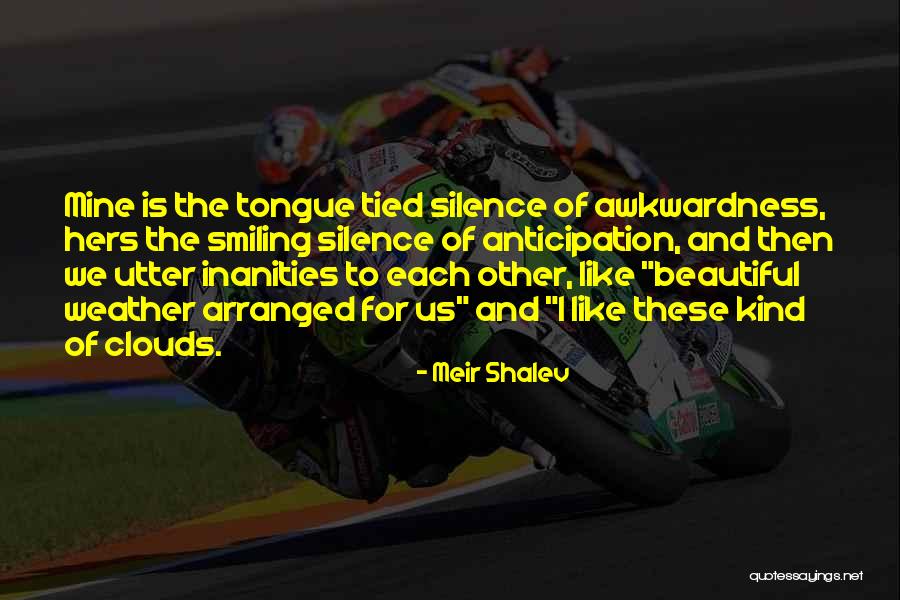 What A Beautiful Weather Quotes By Meir Shalev What A Beautiful Weather Quotes By Meir Shalev