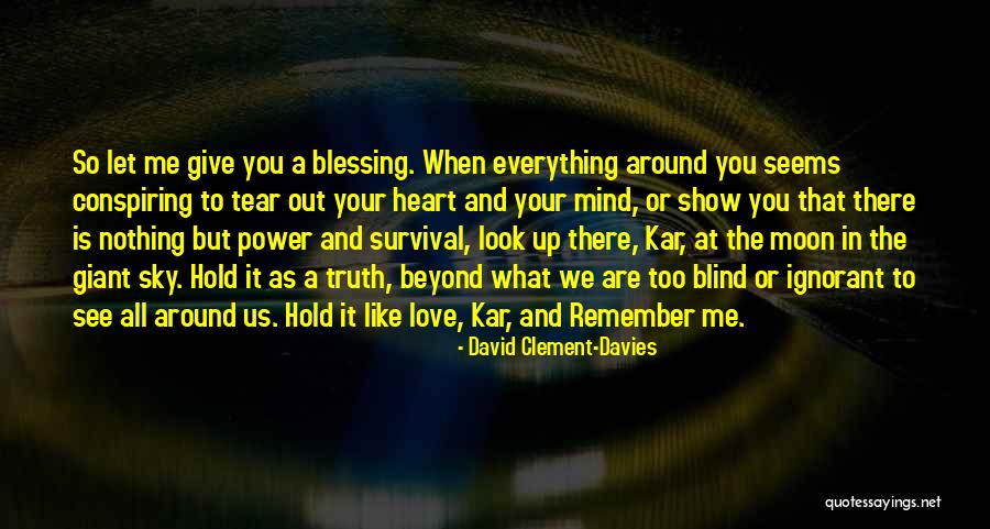What A Blessing Quotes By David Clement-Davies What A Blessing Quotes By David Clement-Davies