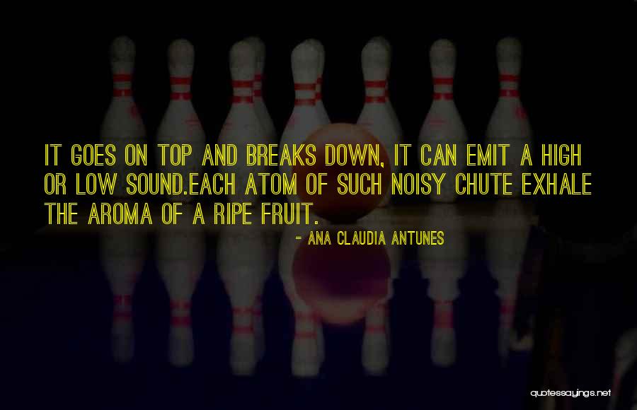 What A Joke Quotes By Ana Claudia Antunes What A Joke Quotes By Ana Claudia Antunes