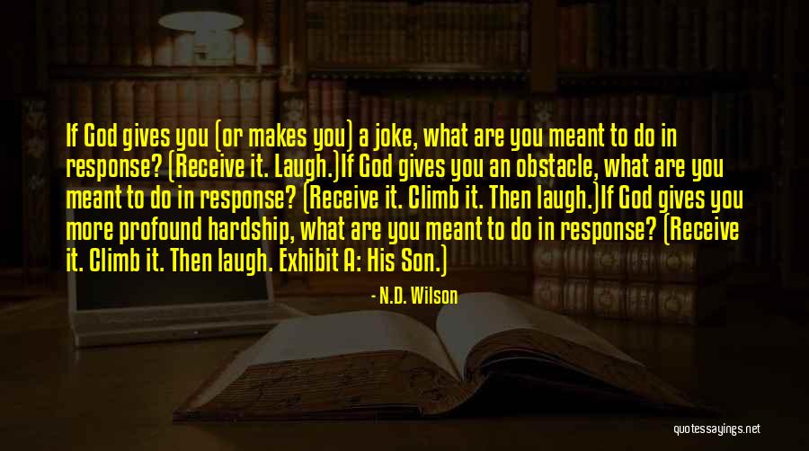 What A Joke Quotes By N.D. Wilson What A Joke Quotes By N.D. Wilson