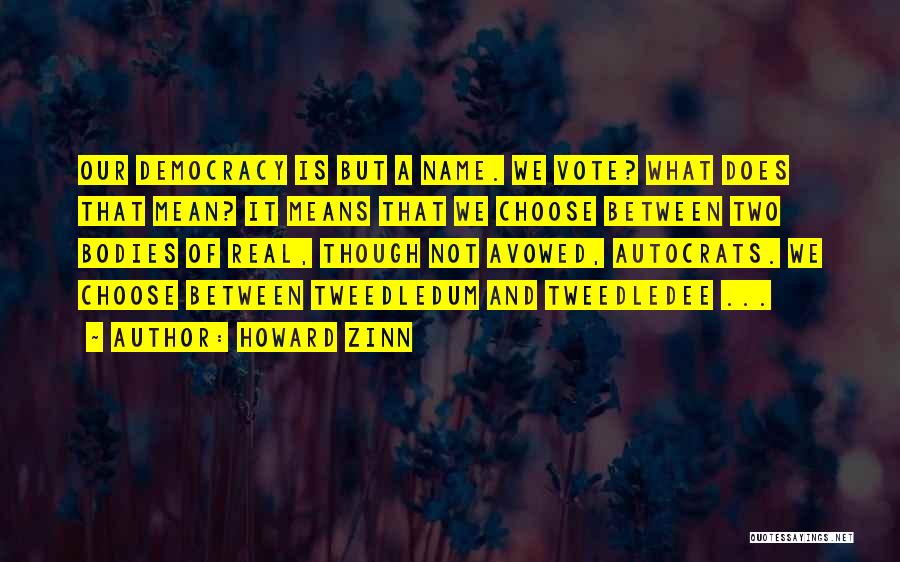 What A Name Means Quotes By Howard Zinn