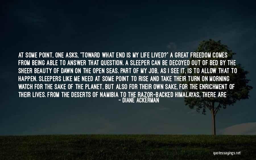 What A Wonderful Morning Quotes By Diane Ackerman What A Wonderful Morning Quotes By Diane Ackerman