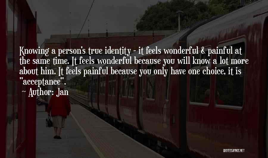 What A Wonderful Person You Are Quotes By Jan
