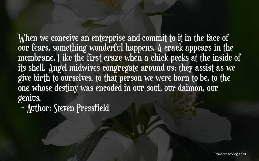What A Wonderful Person You Are Quotes By Steven Pressfield