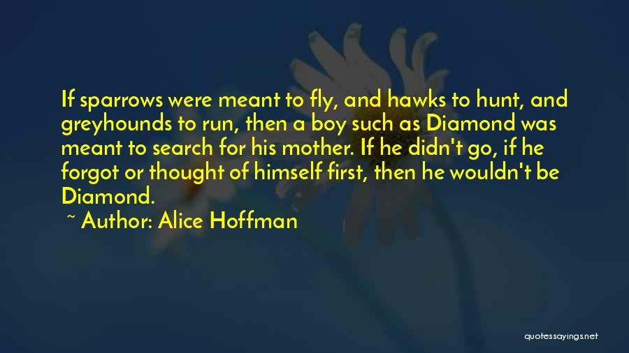 What Alice Forgot Quotes By Alice Hoffman