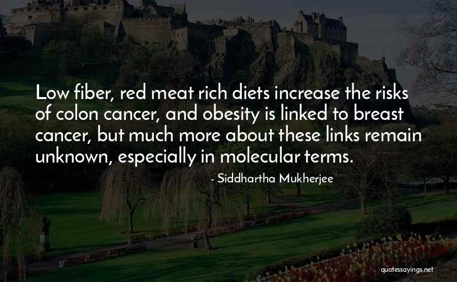 What Are Colon Quotes By Siddhartha Mukherjee What Are Colon Quotes By Siddhartha Mukherjee