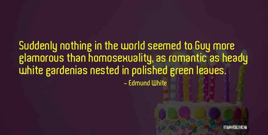 What Are Nested Quotes By Edmund White What Are Nested Quotes By Edmund White