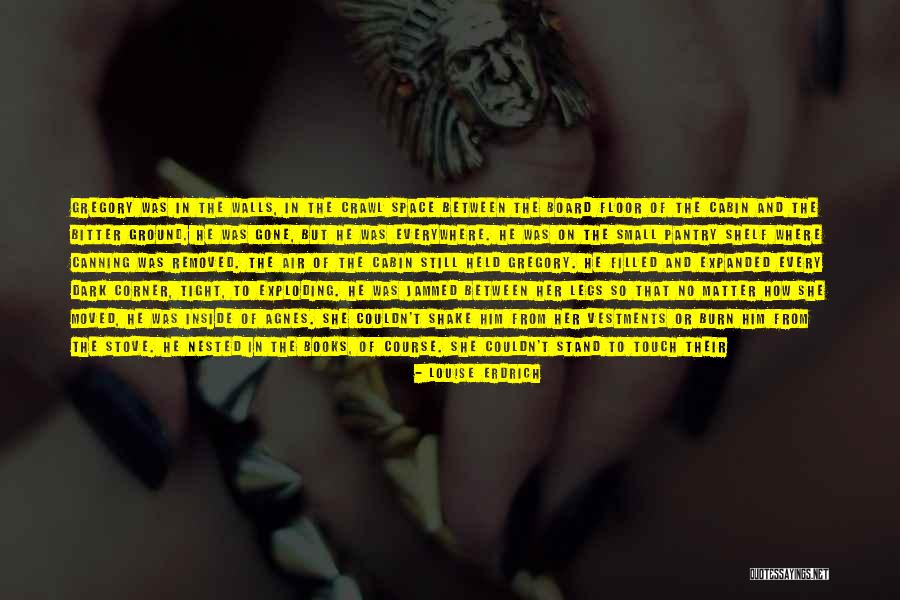 What Are Nested Quotes By Louise Erdrich What Are Nested Quotes By Louise Erdrich