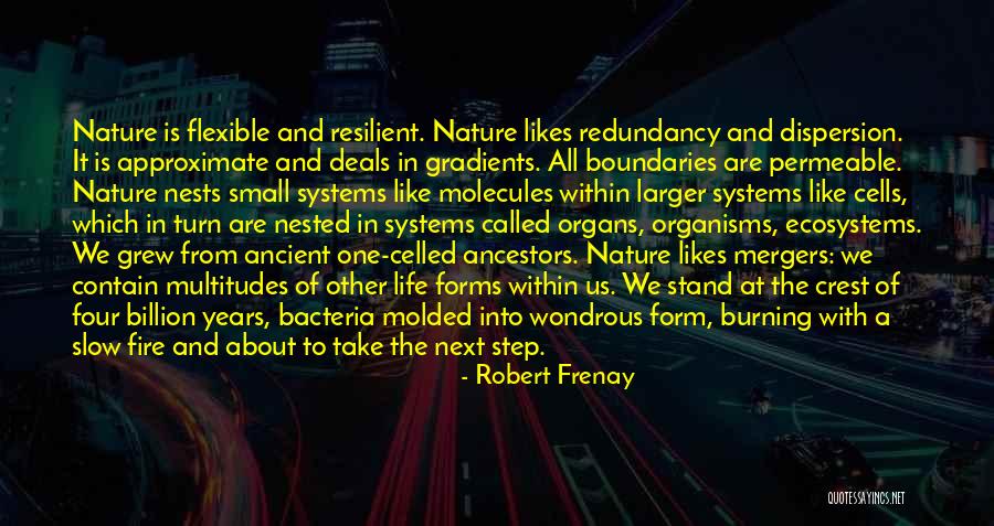 What Are Nested Quotes By Robert Frenay What Are Nested Quotes By Robert Frenay