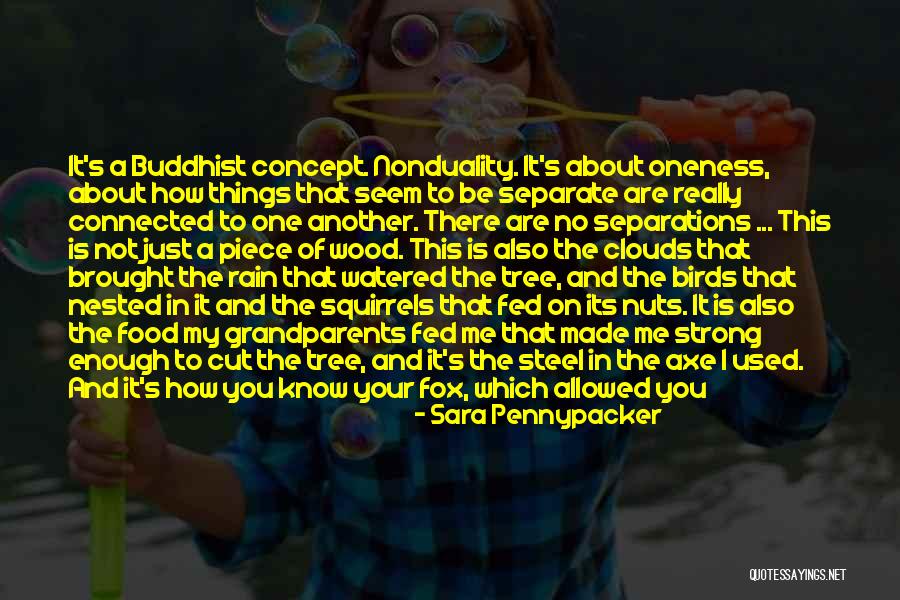 What Are Nested Quotes By Sara Pennypacker What Are Nested Quotes By Sara Pennypacker