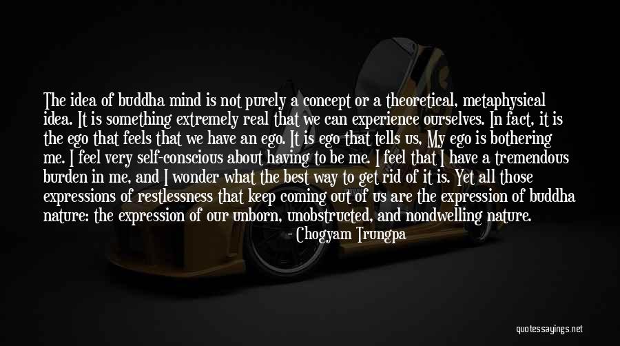 What Are Real Buddha Quotes By Chogyam Trungpa What Are Real Buddha Quotes By Chogyam Trungpa