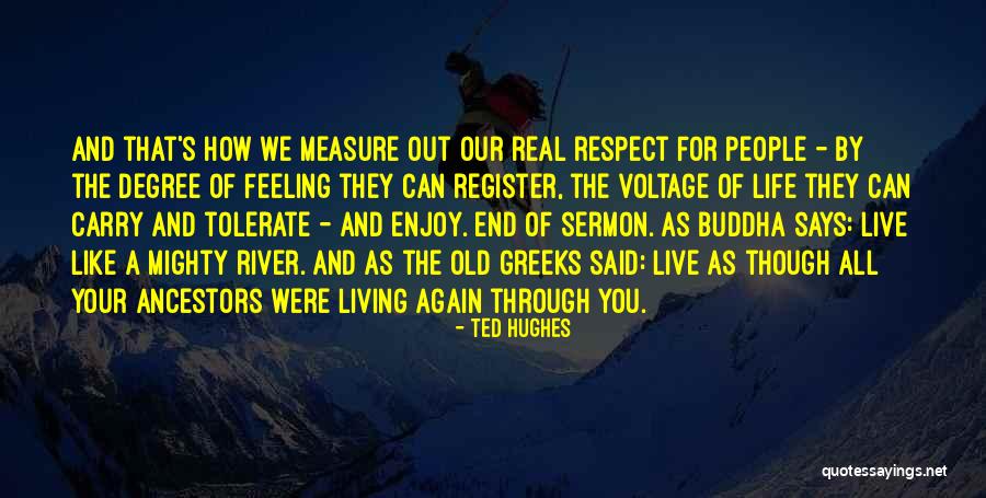 What Are Real Buddha Quotes By Ted Hughes What Are Real Buddha Quotes By Ted Hughes