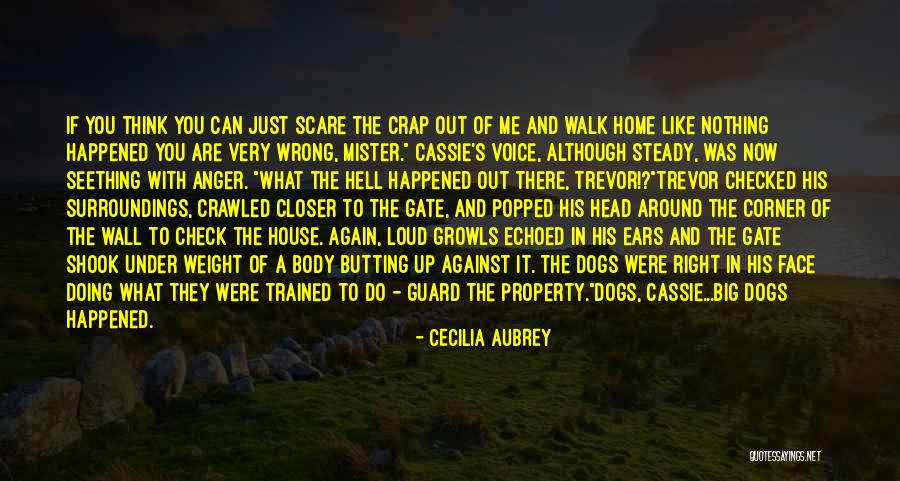 What Are Scare Quotes By Cecilia Aubrey What Are Scare Quotes By Cecilia Aubrey