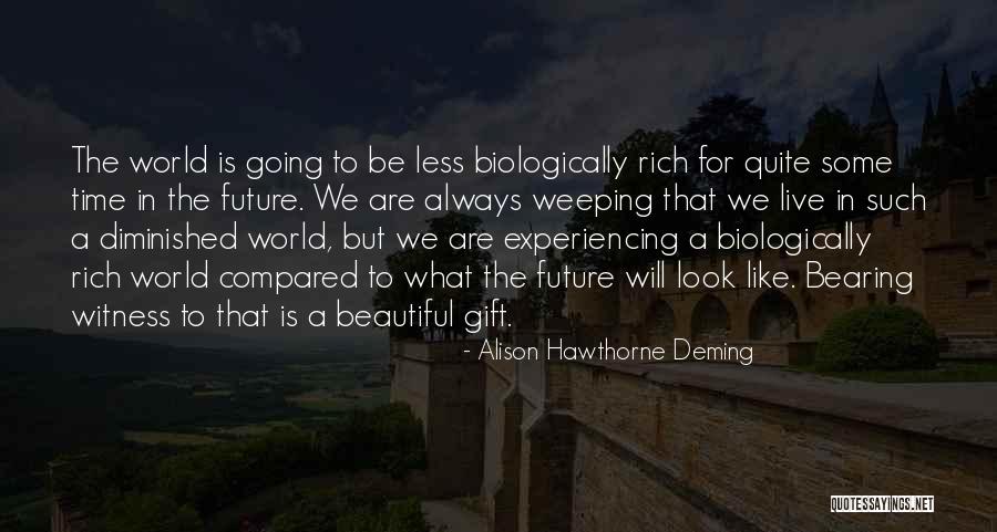 What Are Some Beautiful Quotes By Alison Hawthorne Deming