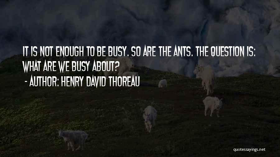 What Are The Inspirational Quotes By Henry David Thoreau