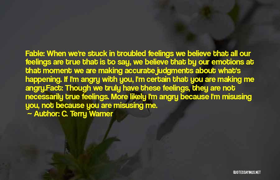 What Are These Feelings Quotes By C. Terry Warner