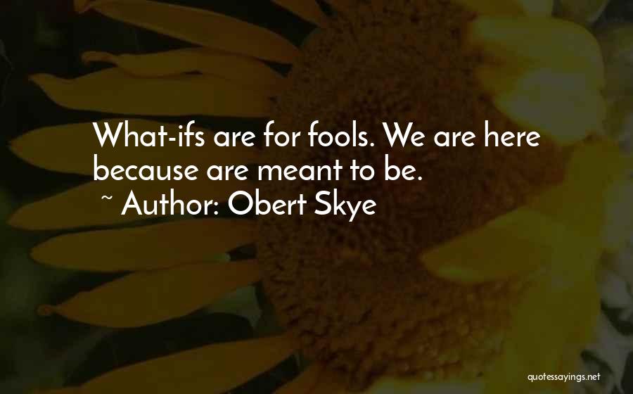 What Are We Here For Quotes By Obert Skye