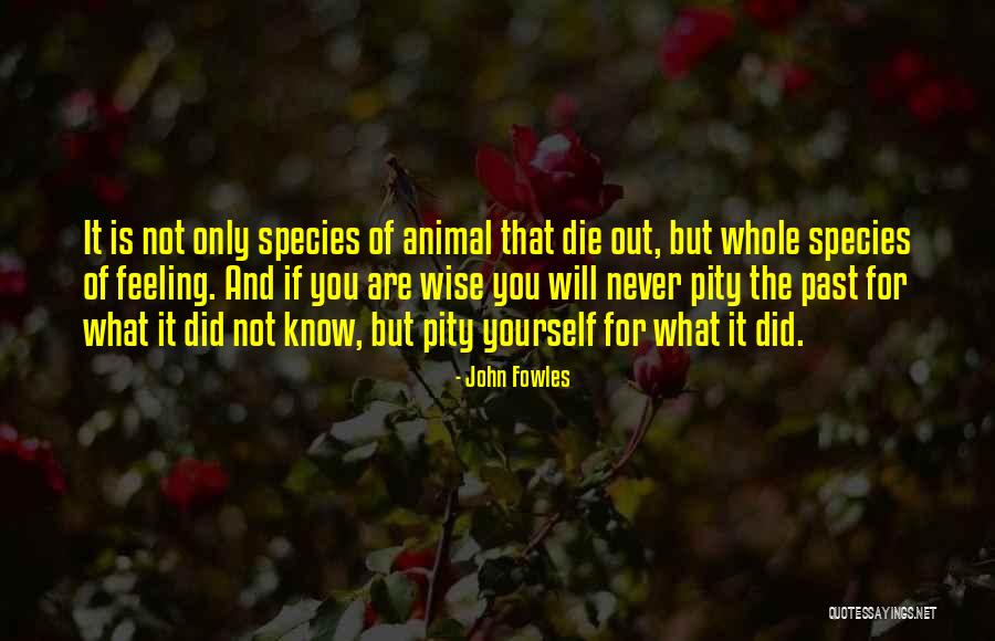 What Are Wise Quotes By John Fowles What Are Wise Quotes By John Fowles