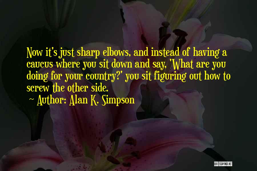 What Are You Doing Now Quotes By Alan K. Simpson