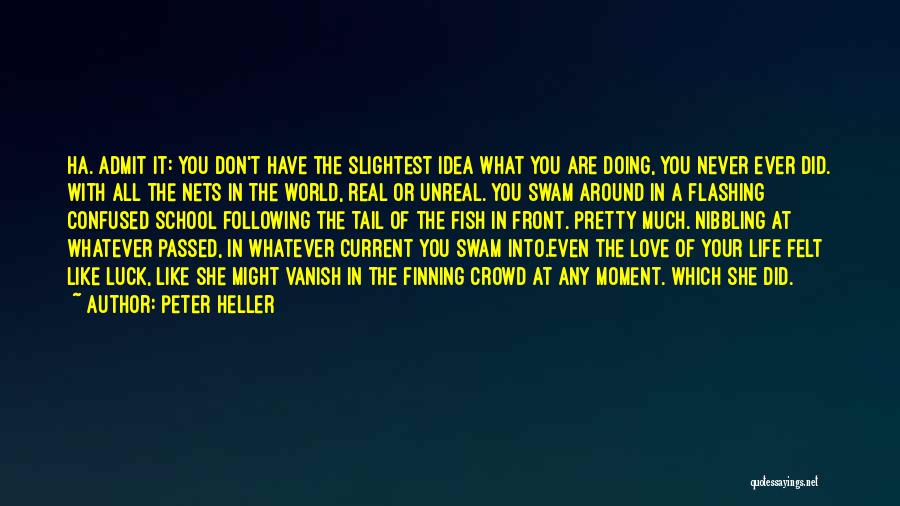 What Are You Doing With Your Life Quotes By Peter Heller