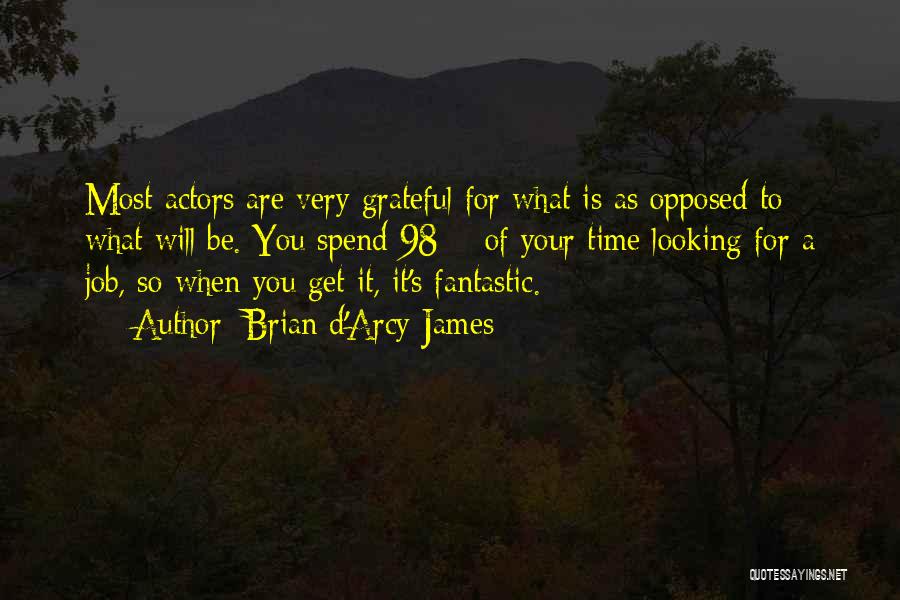 What Are You Grateful For Quotes By Brian D'Arcy James