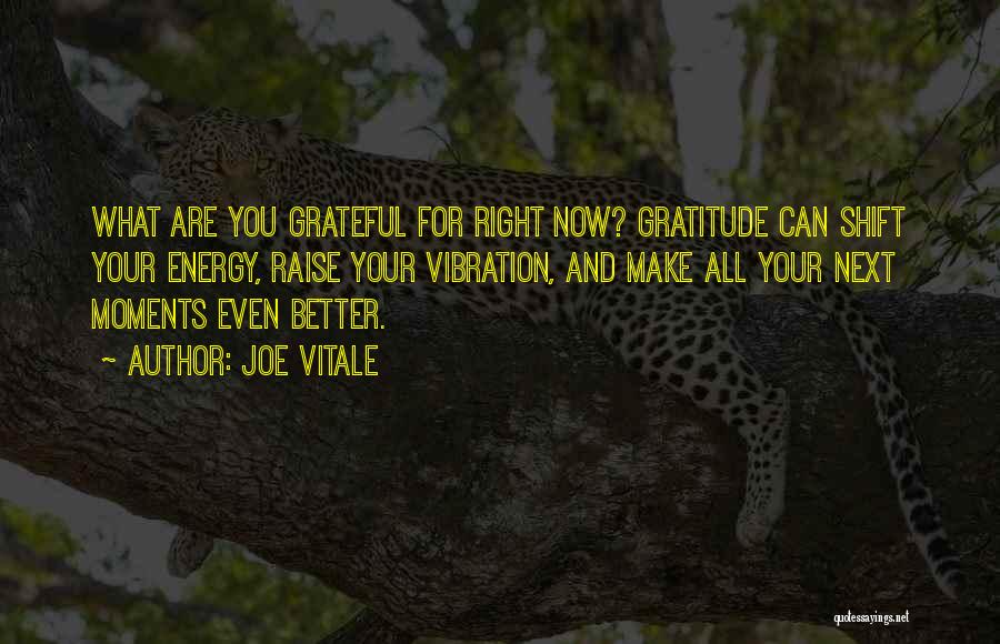 What Are You Grateful For Quotes By Joe Vitale
