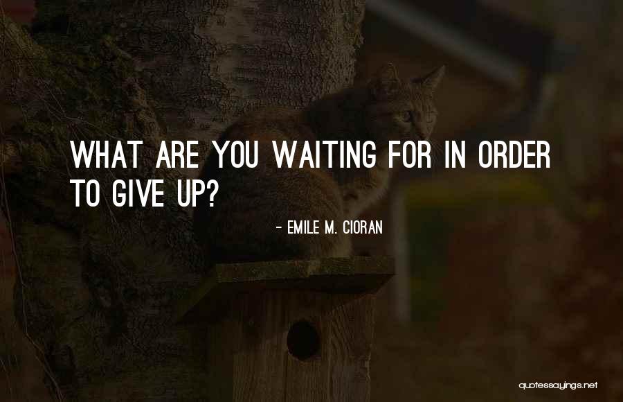 What Are You Waiting For Quotes By Emile M. Cioran What Are You Waiting For Quotes By Emile M. Cioran