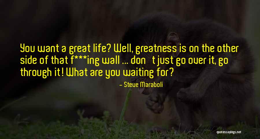 What Are You Waiting For Quotes By Steve Maraboli What Are You Waiting For Quotes By Steve Maraboli