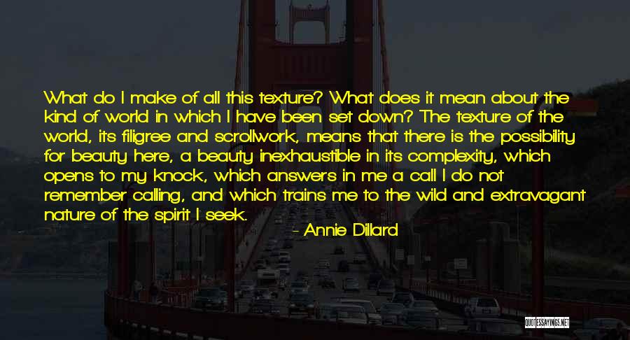 What Beauty Means To Me Quotes By Annie Dillard What Beauty Means To Me Quotes By Annie Dillard