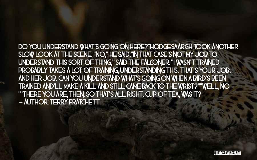 What Can I Do To Make It Right Quotes By Terry Pratchett