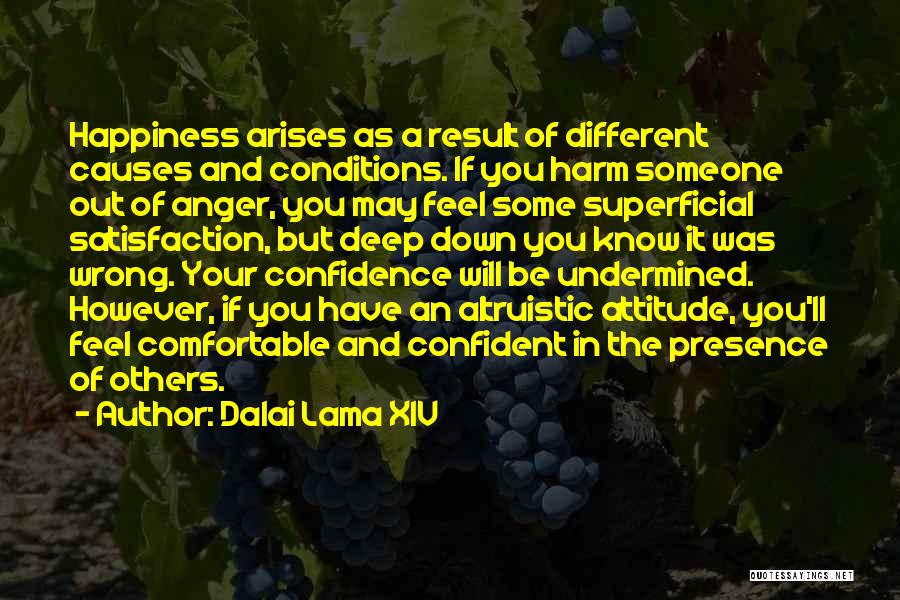 What Causes Happiness Quotes By Dalai Lama XIV