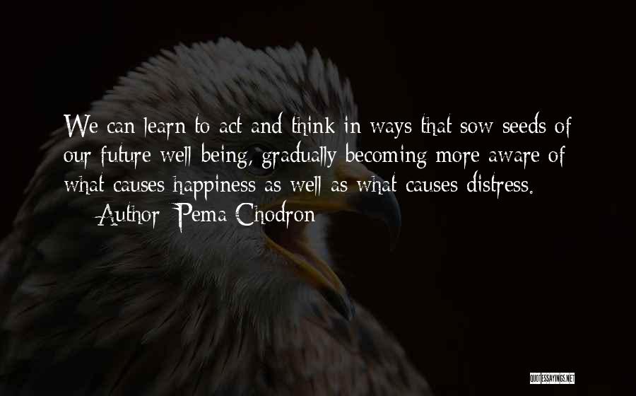 What Causes Happiness Quotes By Pema Chodron